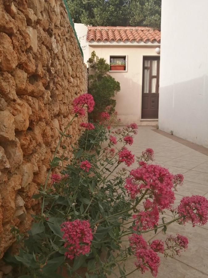 Apartments Borovina Μπολ Εξωτερικό φωτογραφία