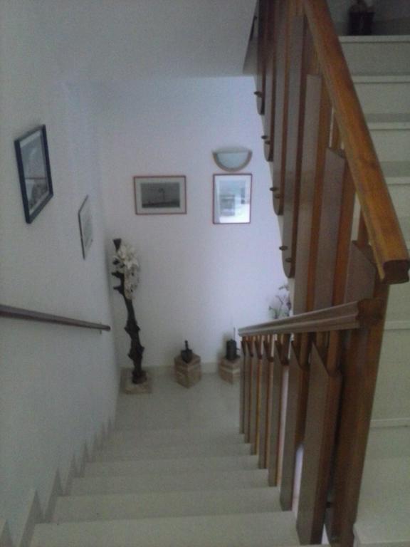 Apartments Borovina Μπολ Εξωτερικό φωτογραφία